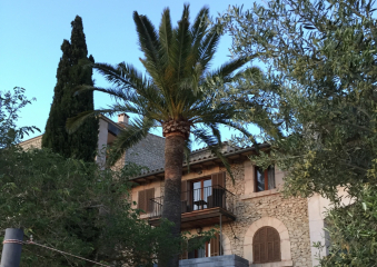 Bild Mallorca mal anders Reisebericht