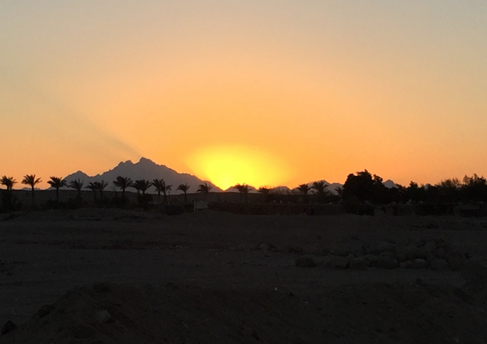 Bild von &Auml;gypten- Dem Winter entfliehen